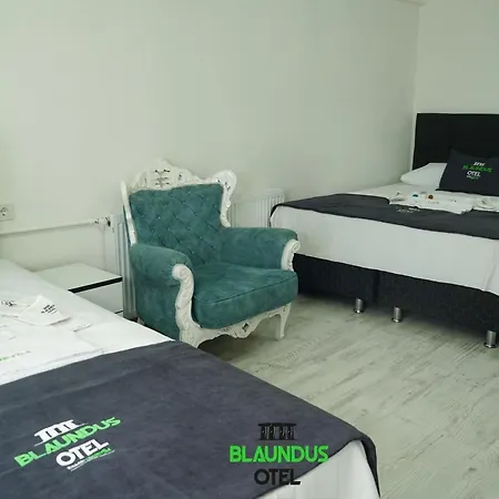 Blaundus فندق